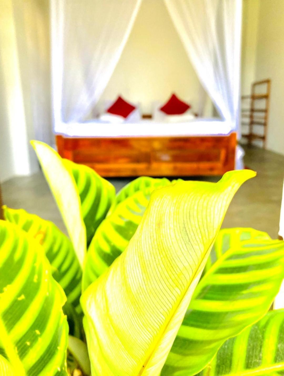 Blissful Haven Hotel Ella Exterior photo